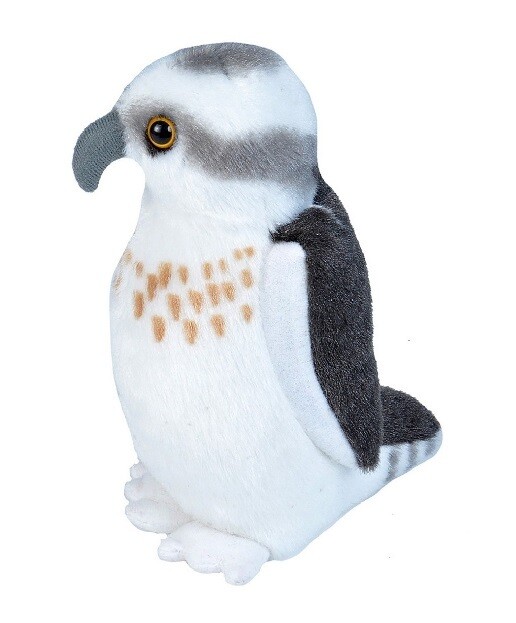 Audubon Birds Osprey