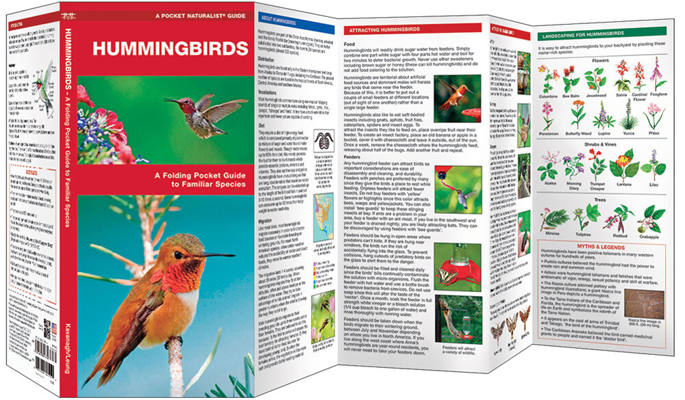 Hummingbirds of NA Cornell Folding Guide