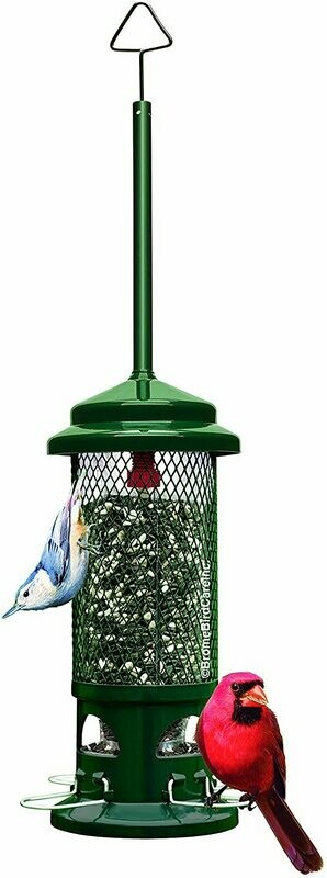 Squirrel Buster Standard