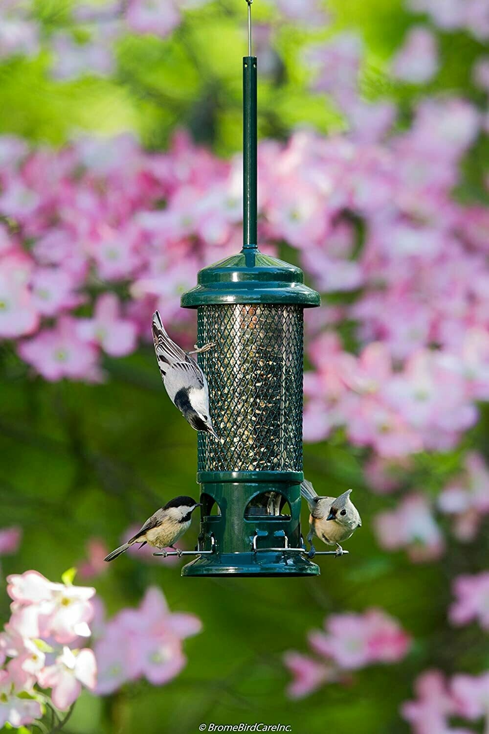 Squirrel Buster Standard