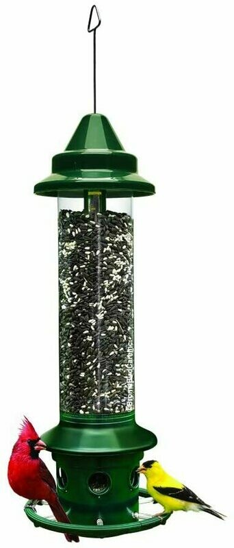 SQUIRREL BUSTER PLUS