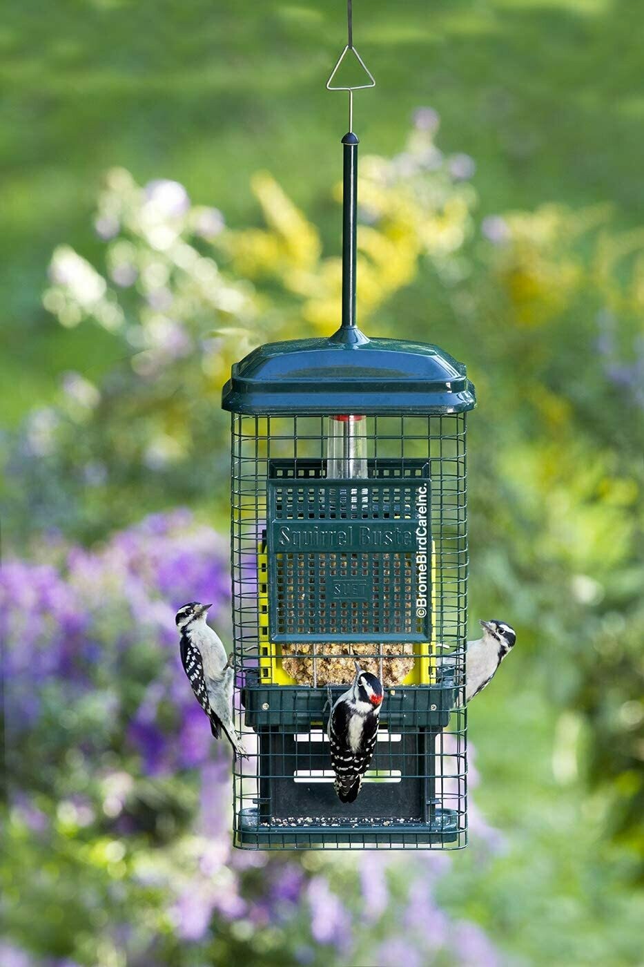 Squirrel Buster Suet