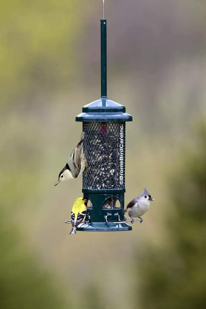 Squirrel Buster Standard
