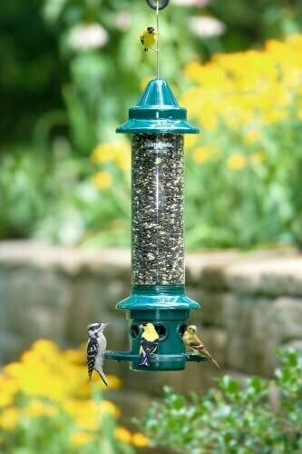 SQUIRREL BUSTER PLUS