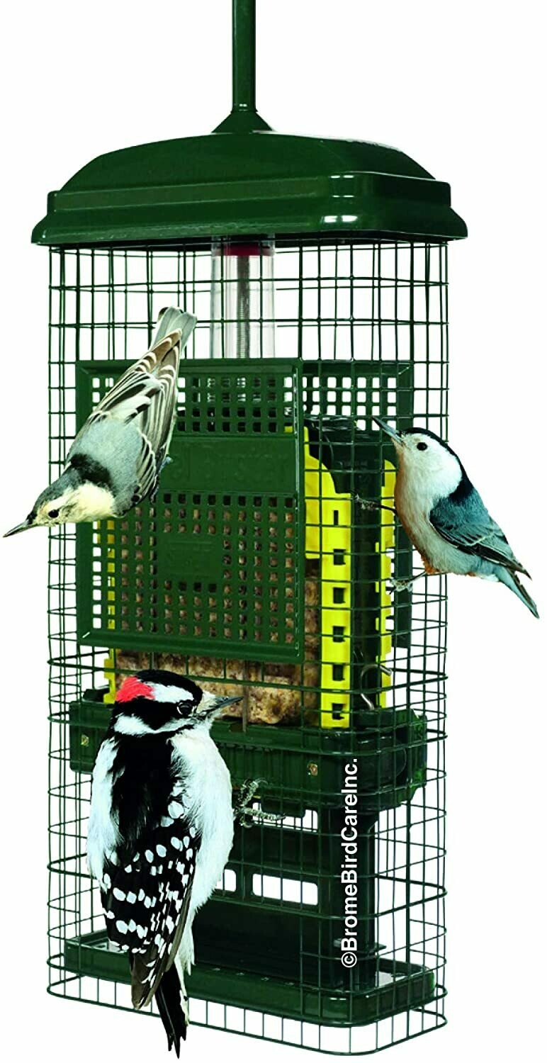 Squirrel Buster Suet