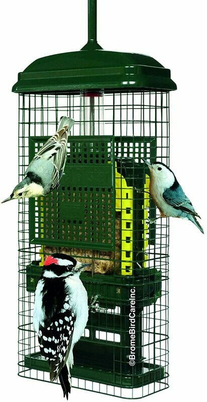 Squirrel Buster Suet