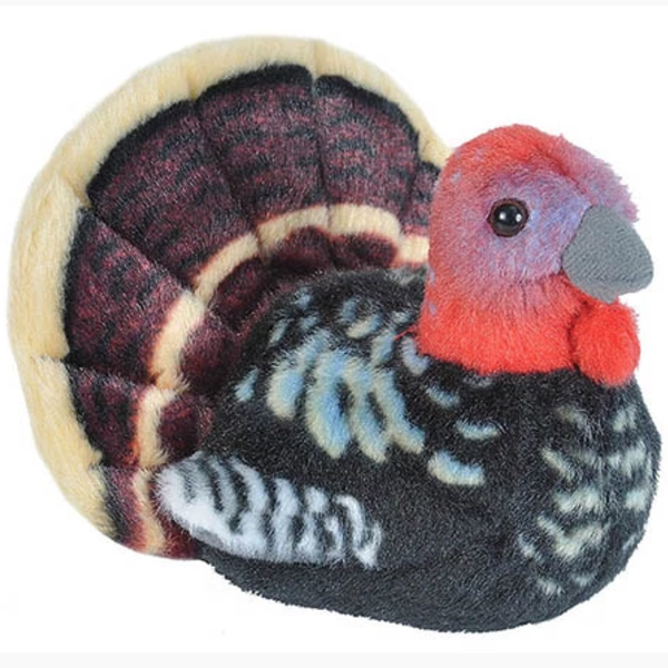 Audubon Birds Wild Turkey