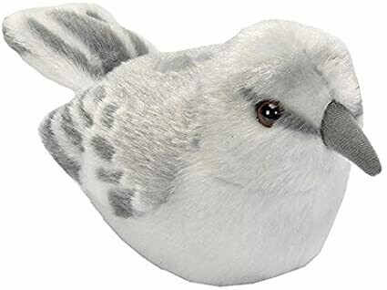 Audubon Birds Northern Mockingbird