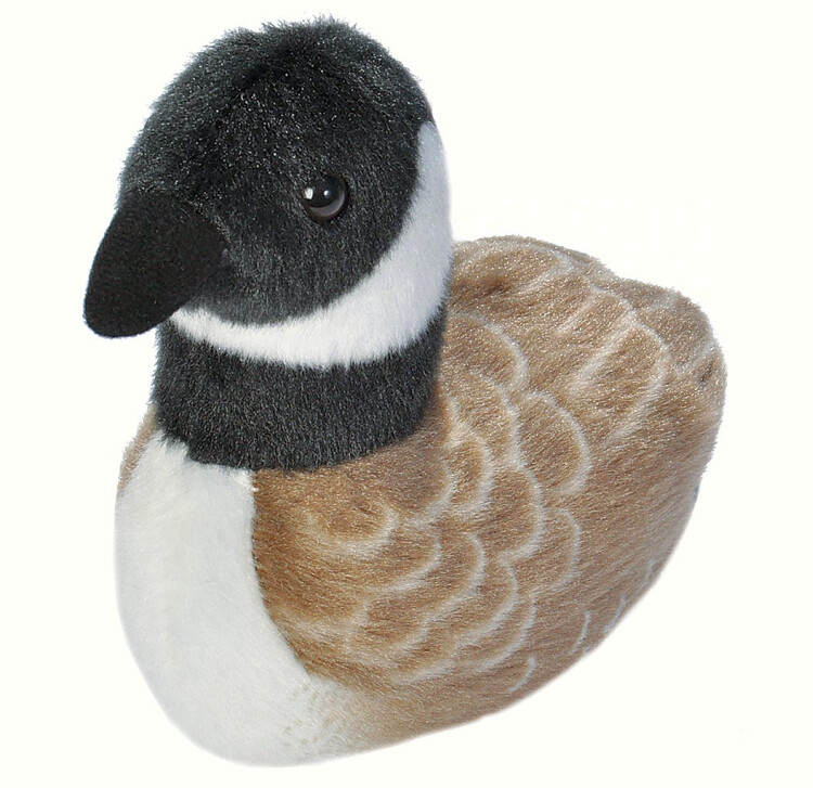 Audubon Birds Canada Goose