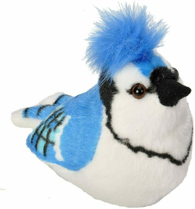 Audubon Birds Blue Jay