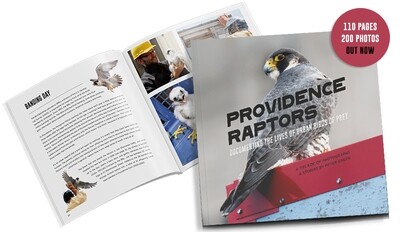 Providence Raptors Book