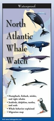 North Atlantic Whale Watch