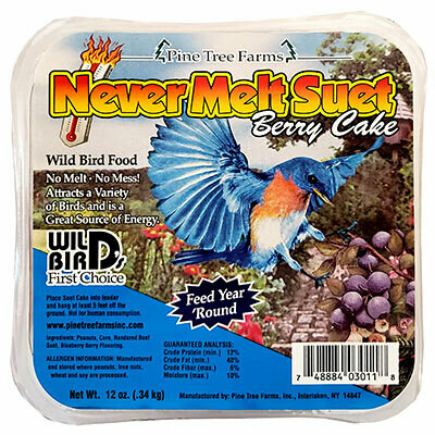Never Melt Berry Suet