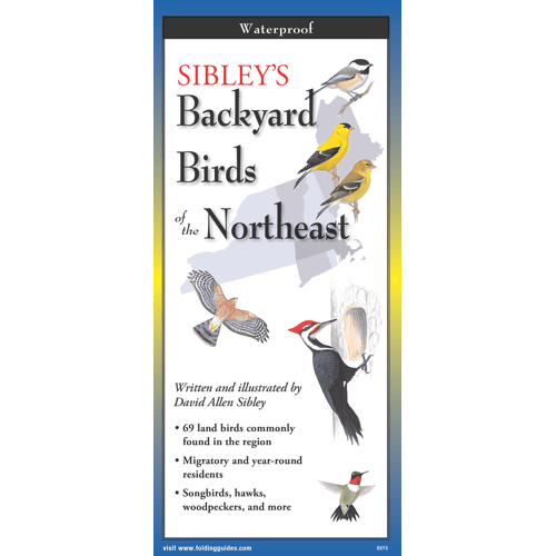 Sibley's Backyard Birds NE - Folding guide