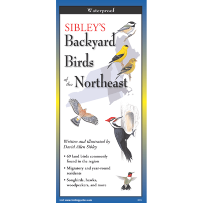 Sibley's Backyard Birds NE - Folding guide