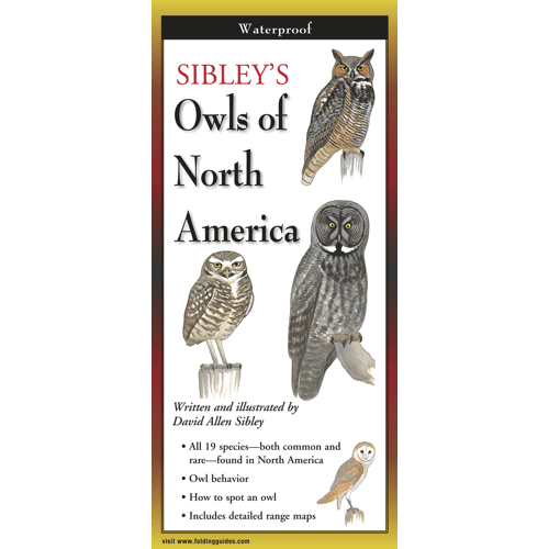 SIBLEY&#39;S OWLS OF NORTH AMERICA Folding Guide