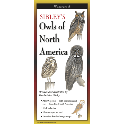 SIBLEY'S OWLS OF NORTH AMERICA Folding Guide