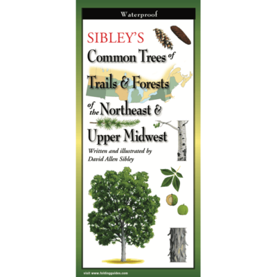 Sibley's Common Trees of NE/MW