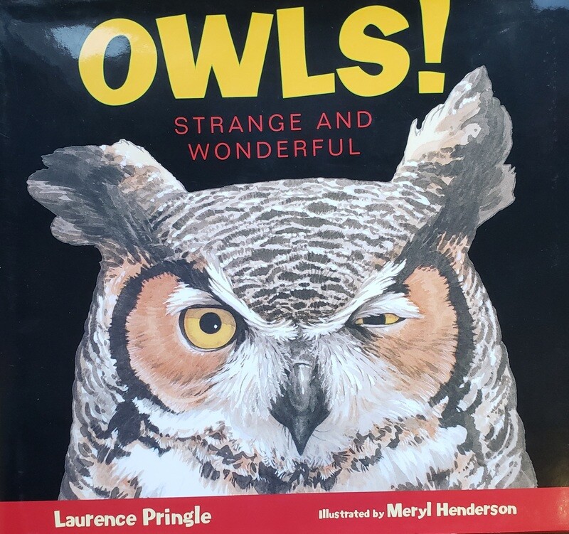 Owls! Strange  &amp; Wonderful