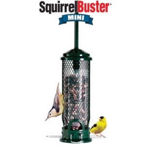 Squirrel Buster Mini