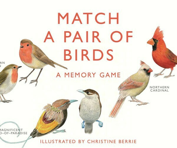 Match a Pair of Birds