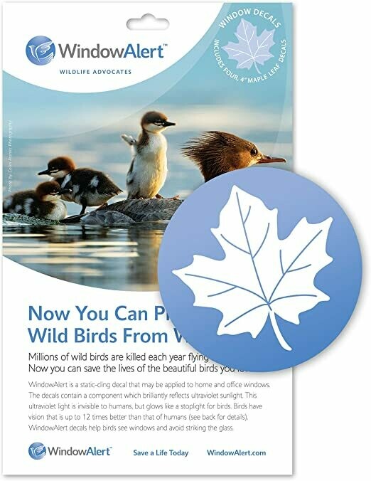 Window Alert-Maple Leaf