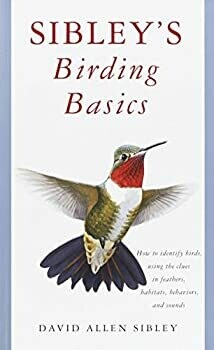 Sibley Birding Basics