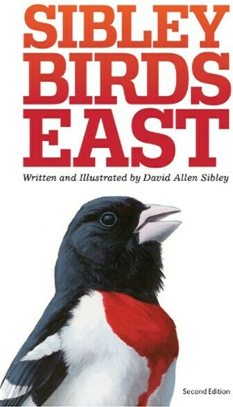Sibley Birds East