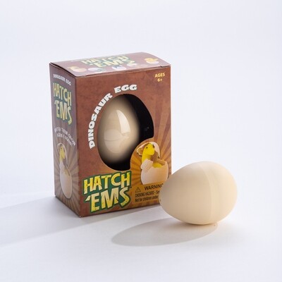 Dinosaur Hatch 'Ems Egg