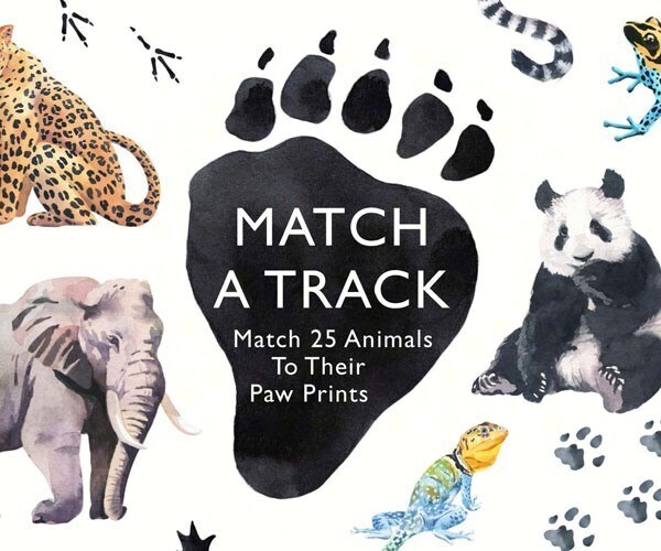 Match A Track Memory Game