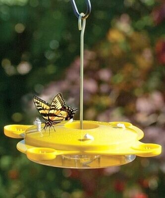 Audubon Butterfly Feeder