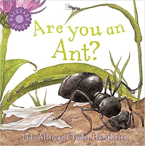 Backyard Books - Ant