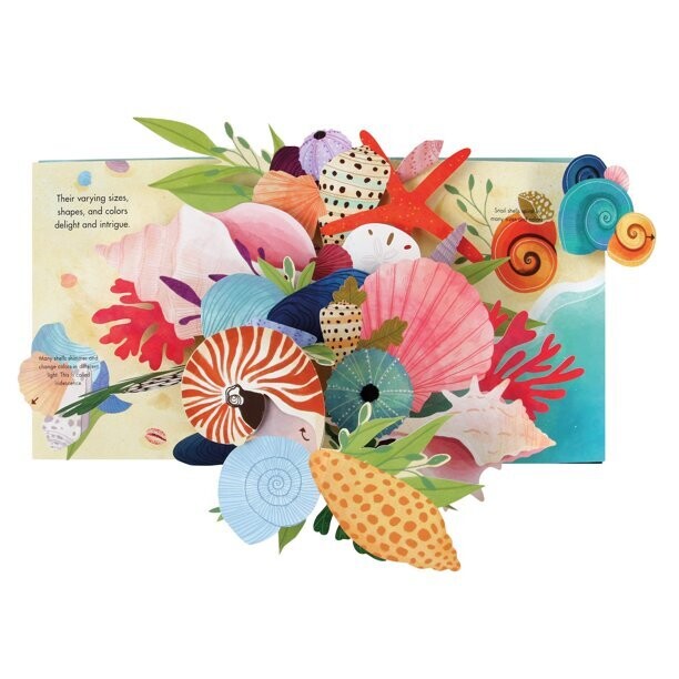 Shells Pop-up book