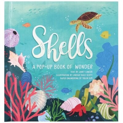 Shells Pop-up book