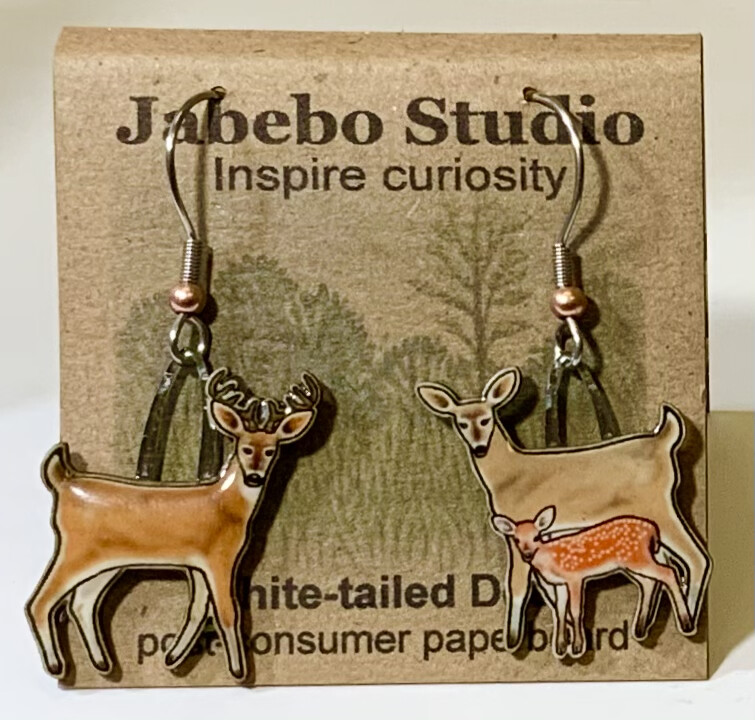 Jabebo White-tailed deer