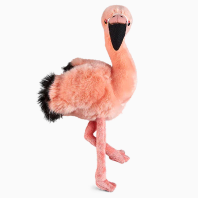 Living Nature - Flamingo