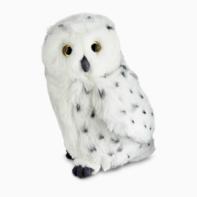 Living Nature Med. Snowy Owl