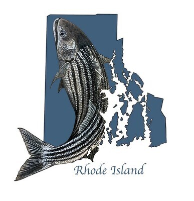 RI State Fish Print 11x17