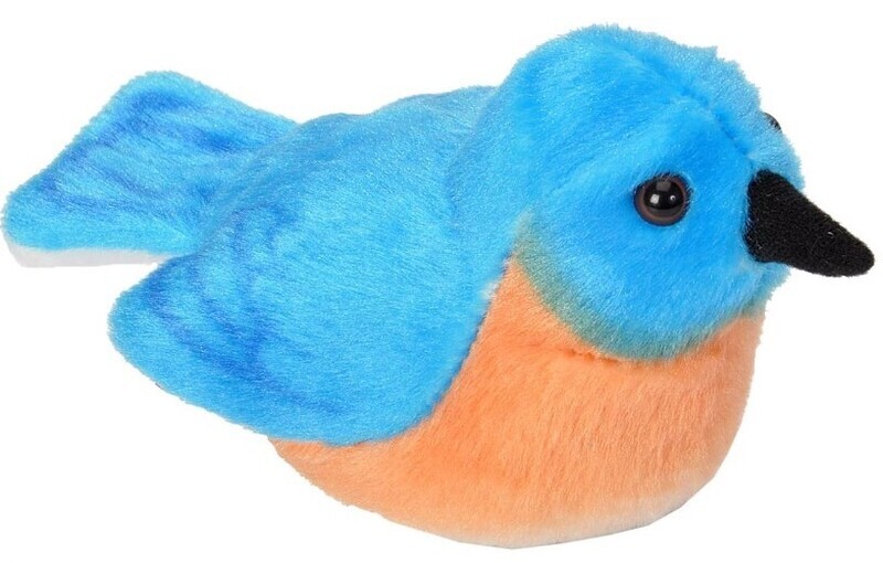 Audubon Birds Eastern Bluebird