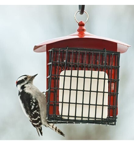 Audubon Double Suet Feeder 