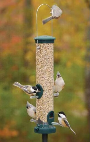 Aspects Quick Clean Peanut Feeder Spruce #440