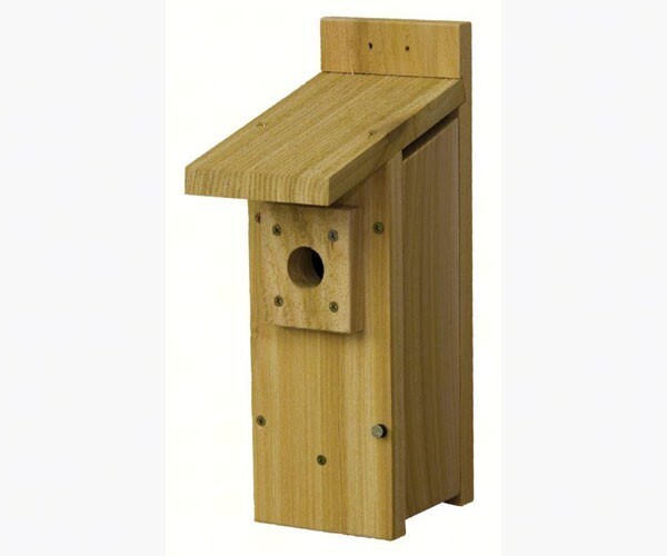 Small Hanging Wren House