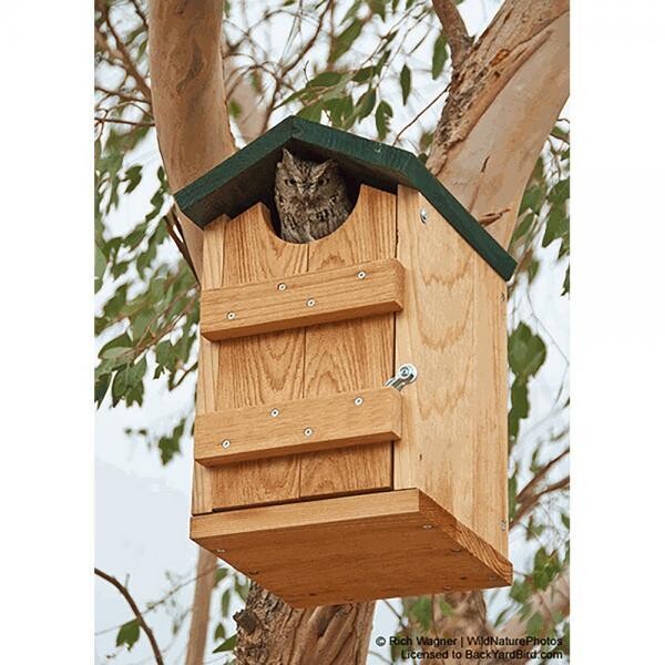 Screech Owl House w/Green Roof