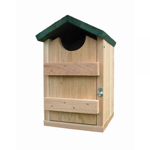 Screech Owl House w/Green Roof