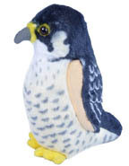 Audubon Birds Peregrine Falcon
