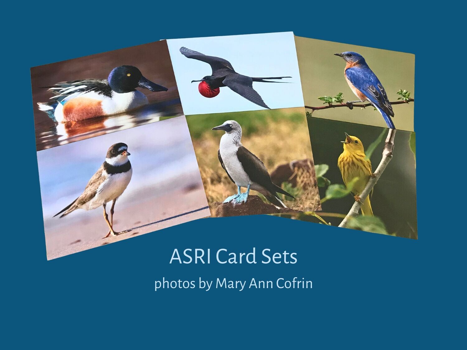 ASRI Card Set 2023