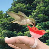 Ring Hummingbird Feeder