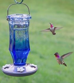 Sapphire Vintage Hummingbird Feeder 16oz