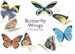 Butterfly Wings Matching Game