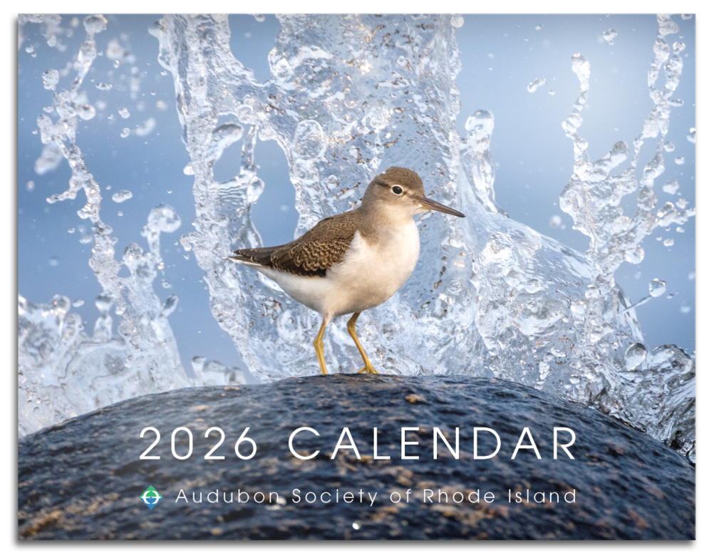 2026 Audubon Calendar